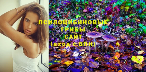прущий лед Аркадак
